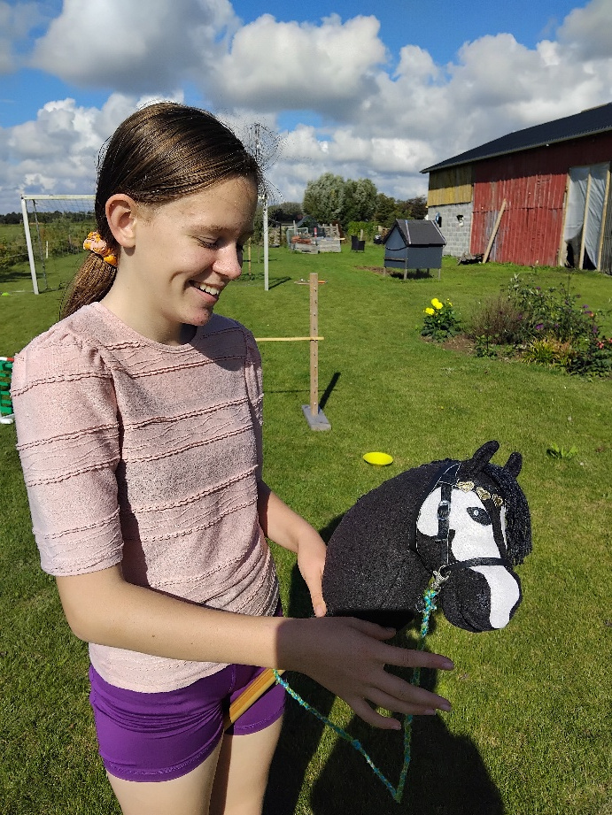 Deltager med hjemmelavet træhest