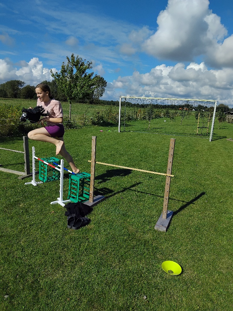 Deltager med en kæphest hopper over en bom